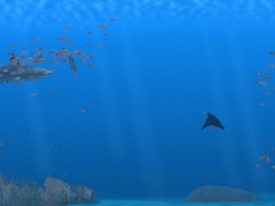 Comcast Center – Aquarium