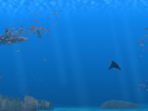 Comcast Center – Aquarium