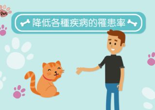 寵寶Pet